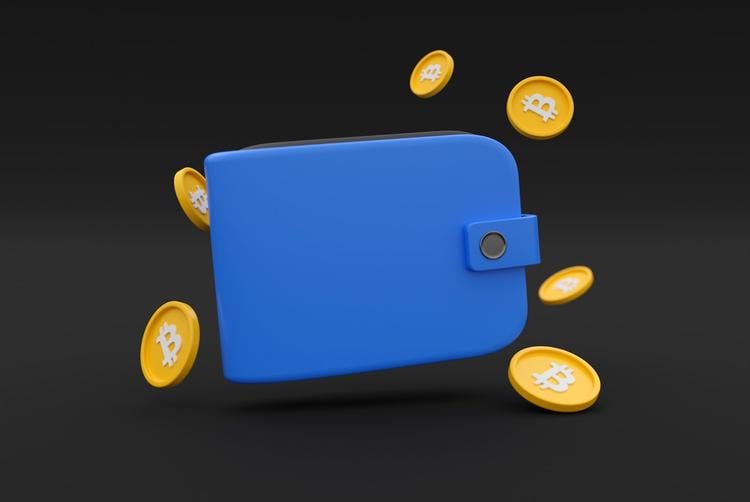 Crypto Hot Wallets and Cold Wallets: All You Need to Know